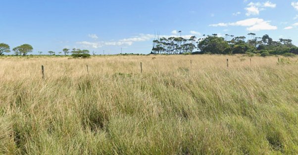Commercial Property for Sale in Cove Rock Eastern Cape
